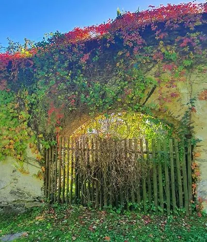 Krakovice بيت ضيافة