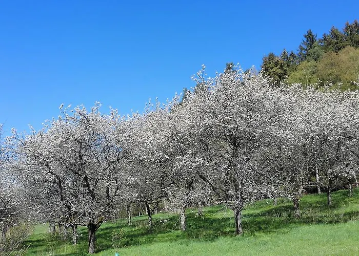 Krakovice بيت ضيافة 3*